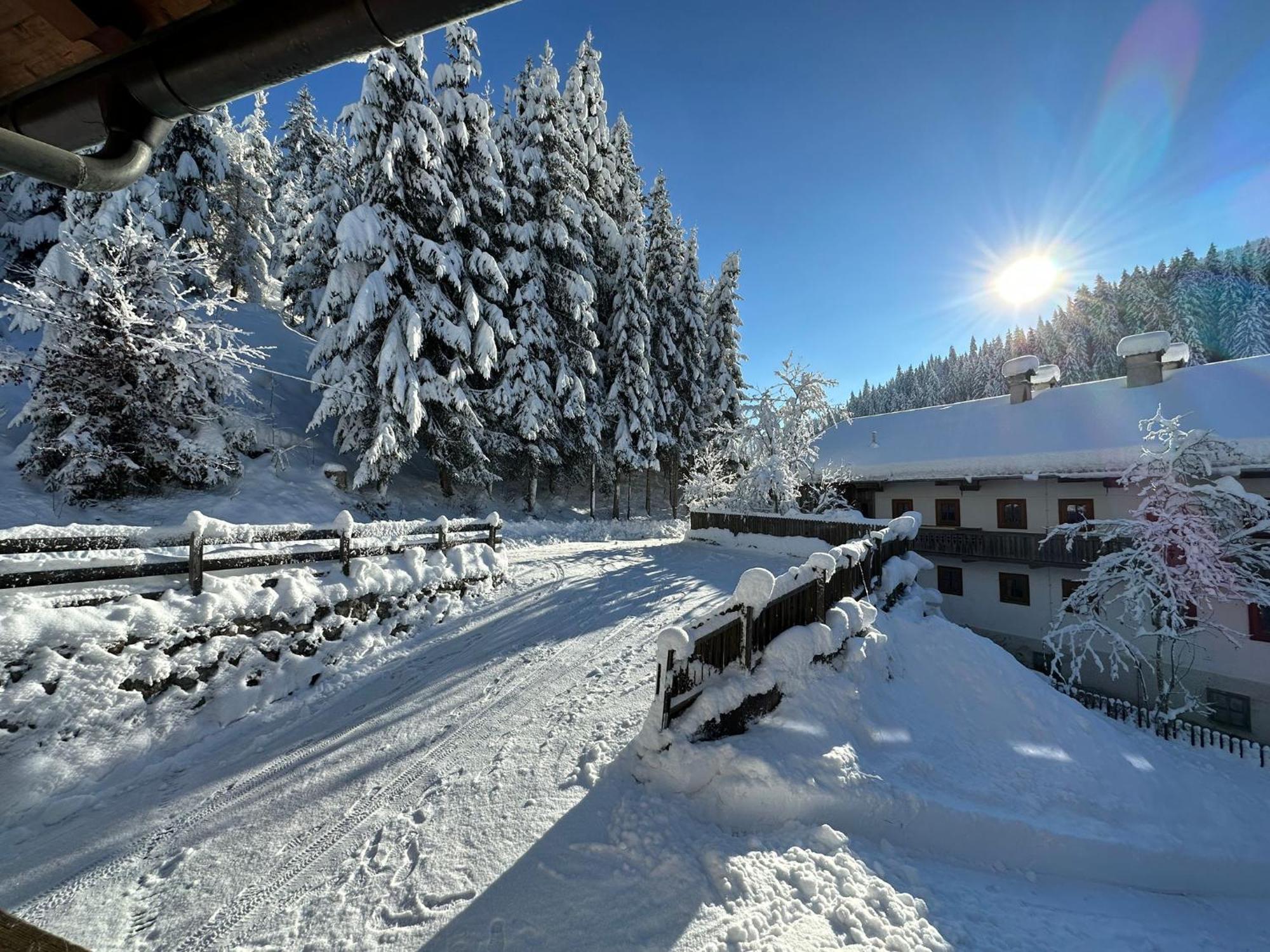 Haus Luxer Lägenhet Auffach Exteriör bild